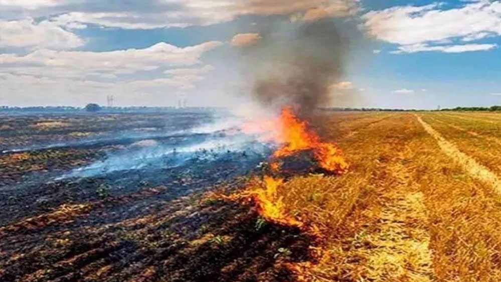 मोहन सरकार की नई स्कीम, एक एकड़ खेत वाले किसान को मिलेंगे 3 हजार रुपए